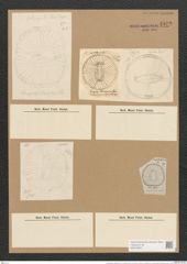 Campylodiscus wallichianus var. normanicus (Grev.) (de-Toni-Nr.: Genus 57, Species 2471) Zeichnungen Sammlung Grunow Nr. 4972 (NHMW-BOT-W0373203)